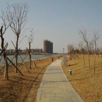New Street