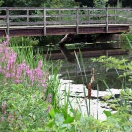 Loantaka Brook Reservation