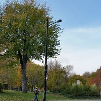 Cap-Saint-Jacques Nature Park