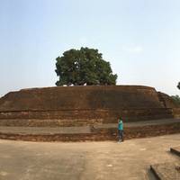 Sujatha Temple