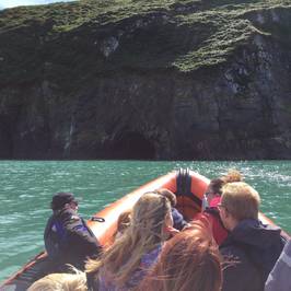 A Bay To Remember Wildlife Boat Trips