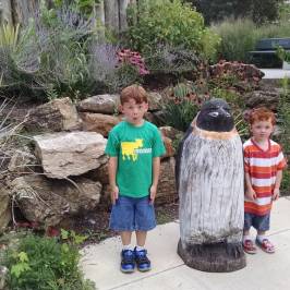 Scovill Zoo