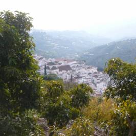 Museo Arqueológico de Frigiliana