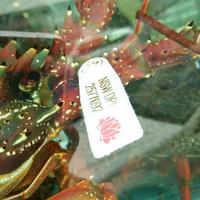 Seafood Street