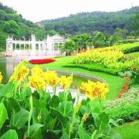 Yuntai road flower Market