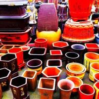 Central flower Market