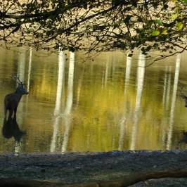 Parc de Boutissaint