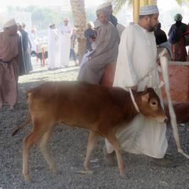 Nizwa Souk