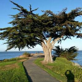 San Bruno Point Park