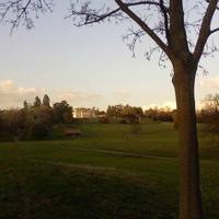 Gatton Park