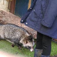 Hopefield Animal Sanctuary