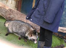 Hopefield Animal Sanctuary