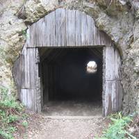Partington Cove