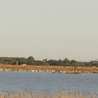 Riserva Naturale Diaccia Botrona