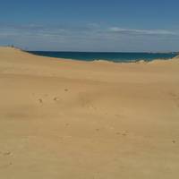 Lido Playa Carratois