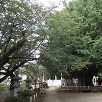 Senyoji Temple