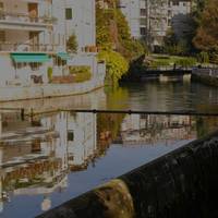 Passeggiata Lungo il Fiume Sile