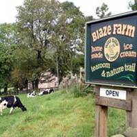Blaze Farm