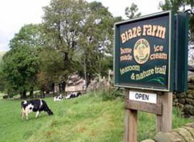 Blaze Farm