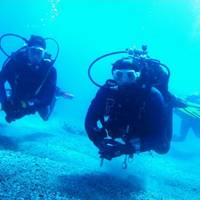 Scilla Diving Center