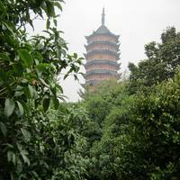 North Pagoda Garden
