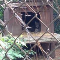 Spruce Haven Zoo