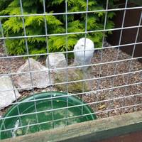 Gentleshaw Birds of Prey and Wildlife Centre