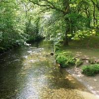 River Walkham Valley and Buckland Monachorum