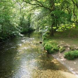 River Walkham Valley and Buckland Monachorum