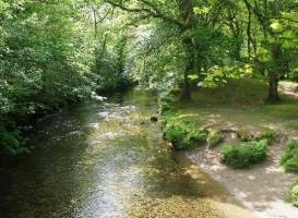 River Walkham Valley and Buckland Monachorum