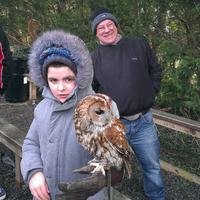 Turbary Woods Owl and Bird of Prey Sanctuary