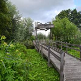 Etangs de Romelaere