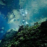Tulum Underwater