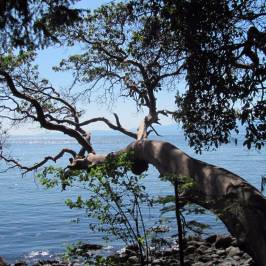East Sooke Regional Park
