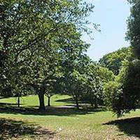 Ellington Park