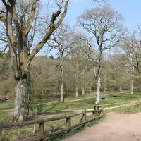 Wenchford Picnic Site