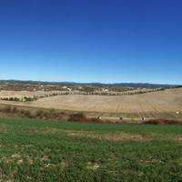 Crete Senesi