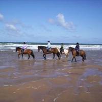 Mullacott Equestrian Centre
