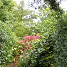 Jardin aux Plantes Parfumées la Bouichère