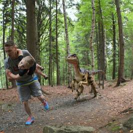 Dinosaur Park