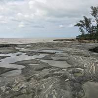Similajau National Park