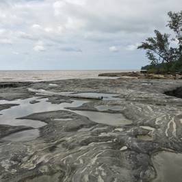 Similajau National Park