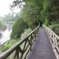 The Weir Garden