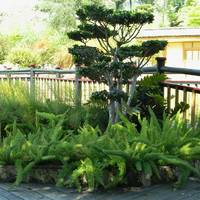 Jardin Botanico Molino de Inca