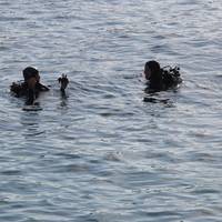 Dubrovnik Diving Aquarius