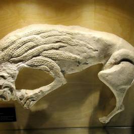 Centre de Sculpture Romane