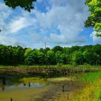 Ontario County Park at Gannett Hill