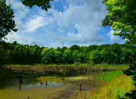 Ontario County Park at Gannett Hill