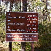 Cape Cod Provincelands Trail
