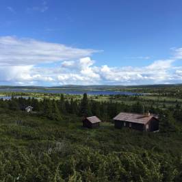 Nordseter